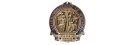 American College of Surgeons